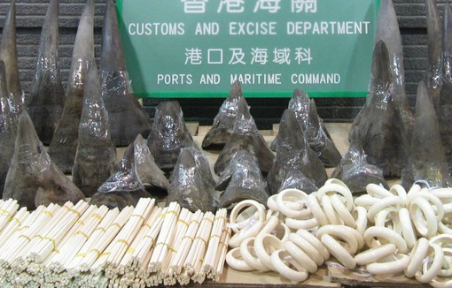 L’UE et la Chine vont signer un accord pour réduire le trafic d’espèces sauvages
